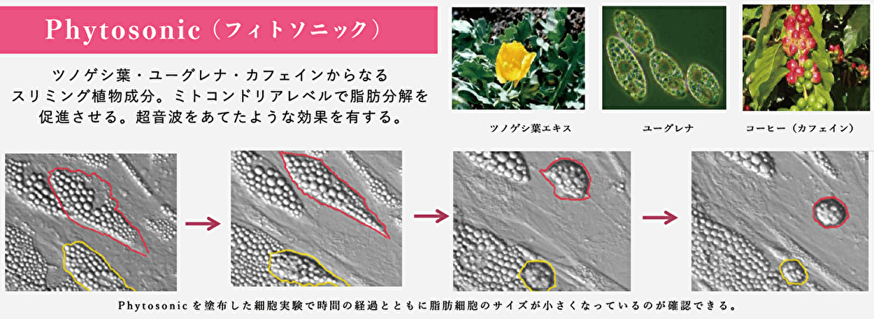 正規品・未開封】業務用オーアイメソッド パイテラピーフェイス