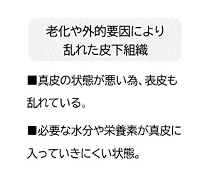 破れた皮下組織