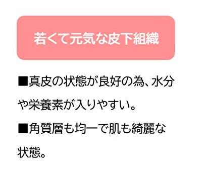 元気な皮下組織