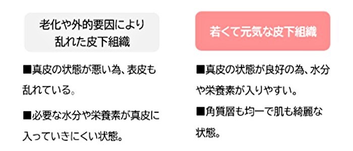 破れた皮下組織